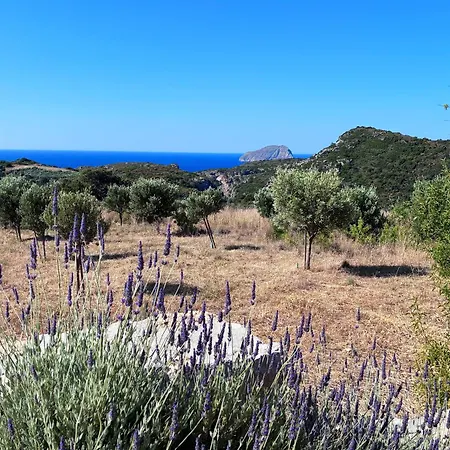 Villa Traditional House In Kalamos *